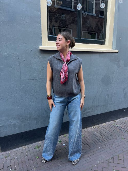 Vest Stella grijs