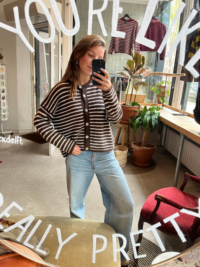 Vest diana bruin