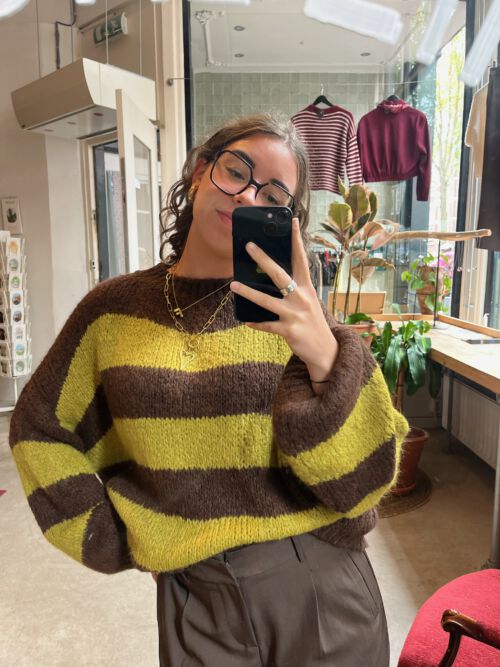 Trui maxim matcha brown